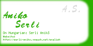 aniko serli business card